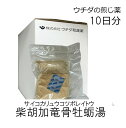 【第2類医薬品】ウチダ和漢薬 煎じ薬 柴胡加竜骨牡蛎湯 10日分/ さいこかりゅうこつぼれいとう 動悸 不安 不眠 神経症 更年期神経症 小児夜泣き