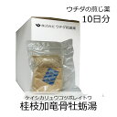 ウチダ和漢薬 煎じ薬 桂枝加竜骨牡蛎湯 10日分/ けいしかりゅうこつぼれいとう 神経質 不眠症 小児夜泣き 夜尿症 眼精疲労 神経症