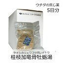 ウチダ和漢薬 煎じ薬 桂枝加竜骨牡蛎湯 5日分/ けいしかりゅうこつぼれいとう 神経質 不眠症 小児夜泣き 夜尿症 眼精疲労 神経症