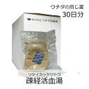 【第2類医薬品】ウチダ和漢薬 煎じ薬 疎経活血湯 30日分/ そけいかっけつとう 関節痛 神経痛 腰痛 筋肉痛