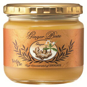 【ヴェーダヴィ】 ジンジャーペースト　336g【コンビニ受取対応商品】
