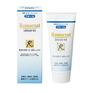 全薬工業 ロモコートフォームM 100g(医薬部外品)