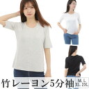 [PR] LT11 竹レーヨン レディス 5分袖Tシャツ 敏感肌 低刺激 アトピー 無地 ひんやり 冷感 抗菌 消臭 竹布 takefu 竹繊維 ギフト プレゼント 匂わない 冷えとり 冷え 対策 肌着 汗取りインナー 脅威の吸水 消臭力 UVカット ヒンヤリ ブラック