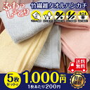 抗菌消臭 タオル 竹 レーヨン100% 竹繊維 ハンドタオルタオル 5枚入り 福袋 竹布 TAKEFU【RCP】【ぽっきり】【送料無料】