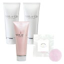 【VEIL&Co】ベールアンドコー マイルドソルトウォッシュ 2本 + オールインワンジェル 1本 + ナチュラルソープ 1個 (2025年 福袋)