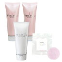 【VEIL&Co】ベールアンドコー マイルドソルトウォッシュ 1本 + オールインワンジェル 2本 + ナチュラルソープ 1個 (2025年 福袋)