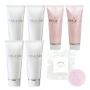 【VEIL&Co】ベールアンドコー マイルドソルトウォッシュ 4本 + オールインワンジェル 2本 + ナチュラルソープ 1個 (2025年 福袋)