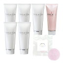 【VEIL&Co】ベールアンドコー マイルドソルトウォッシュ 5本 + オールインワンジェル 1本 + ナチュラルソープ 1個 (2025年 福袋)