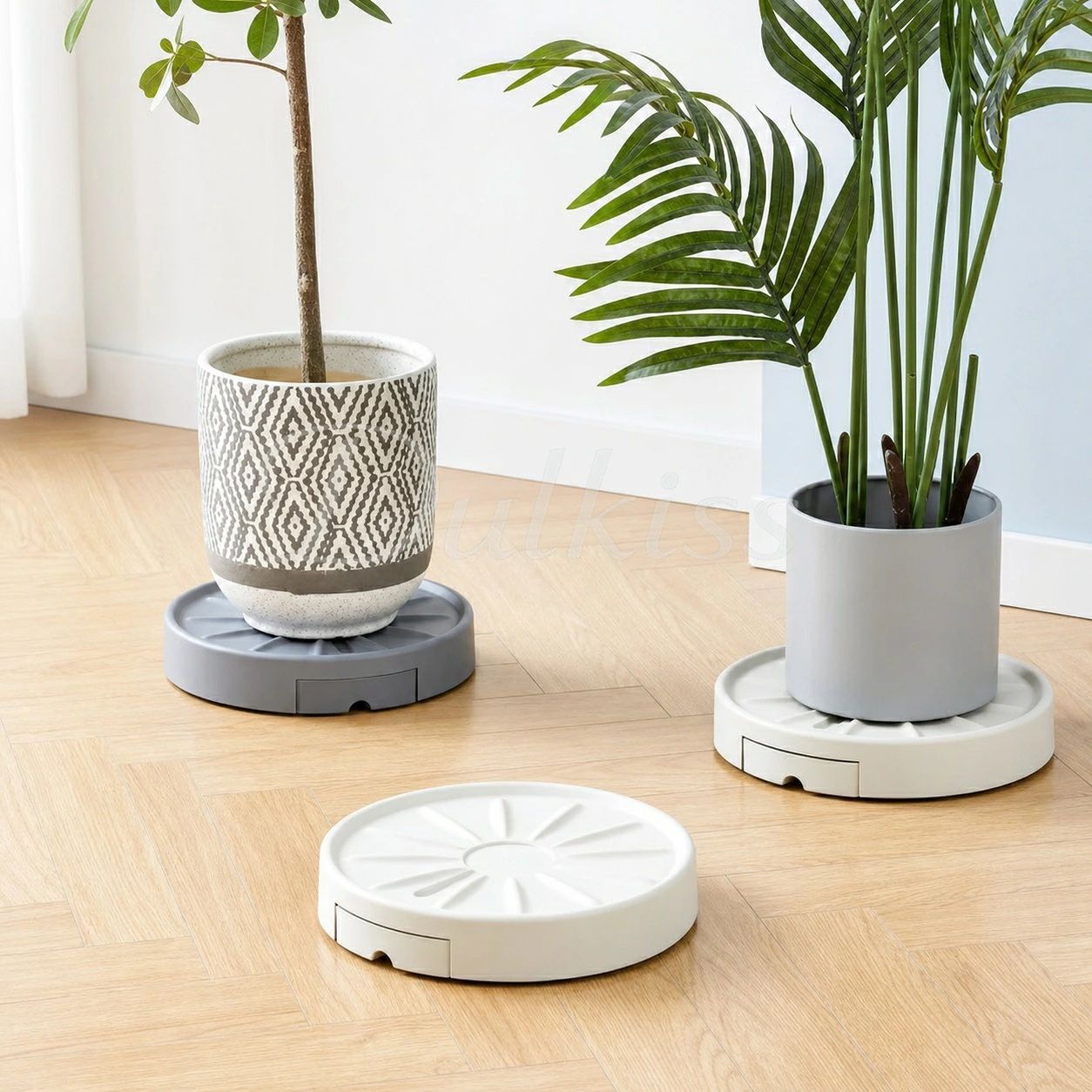 【360°回転隠したキャスター排水できる鉢受台】水やりをした際に植木鉢から流れ出る排水は、鉢受面の排水穴より流れ落ちて、排水トレイに溜まる仕組みです。排水トレイを引き出せば、簡単に排水を取り出して捨てることができます。鉢受皿のように排水が貯まらないので、植物の根腐れを軽減できます。観賞植物をラクラク移動！隠したキャスター付き植木鉢トレー。屋内のどんな空間にもフィットするので、インテリアグリーンのレイアウトの幅を広げます。 サイズ1号 2号 3号 4号 5号サイズについての説明1号：4?内径22.5cm(外径25cm），2号：4?内径25cm(外径28cm)，3号：4?内径28cm(外径31.5cm)，4号：4?内径30cm(外径33.5cm)，5号：4?内径33cm(外径37cm）素材プラスチック色ホワイト グレー備考●サイズ詳細等の測り方はスタッフ間で統一、徹底はしておりますが、実寸は商品によって若干の誤差(1cm～3cm )がある場合がございますので、予めご了承ください。●製造ロットにより、細部形状の違いや、同色でも色味に多少の誤差が生じます。●パッケージは改良のため予告なく仕様を変更する場合があります。▼商品の色は、撮影時の光や、お客様のモニターの色具合などにより、実際の商品と異なる場合がございます。あらかじめ、ご了承ください。▼生地の特性上、やや匂いが強く感じられるものもございます。数日のご使用や陰干しなどで気になる匂いはほとんど感じられなくなります。▼同じ商品でも生産時期により形やサイズ、カラーに多少の誤差が生じる場合もございます。▼他店舗でも在庫を共有して販売をしている為、受注後欠品となる場合もございます。予め、ご了承お願い申し上げます。▼出荷前に全て検品を行っておりますが、万が一商品に不具合があった場合は、お問い合わせフォームまたはメールよりご連絡頂けます様お願い申し上げます。速やかに対応致しますのでご安心ください。 .鉢置き 隠した キャスター付き 台車 として 使える 鉢植え台 プランタースタンド は 排水 できる 丸型 鉢皿 や 植木鉢台 受け皿 として 室内 屋外 両方 に 最適 です。360°回転 キャスター付き で 移動 が 便利 な 鉢置台 は 花台 や フラワースタンド としても 活躍 します。。【360°回転隠したキャスター排水できる鉢受台】水やりをした際に植木鉢から流れ出る排水は、鉢受面の排水穴より流れ落ちて、排水トレイに溜まる仕組みです。排水トレイを引き出せば、簡単に排水を取り出して捨てることができます。鉢受皿のように排水が貯まらないので、植物の根腐れを軽減できます。観賞植物をラクラク移動！隠したキャスター付き植木鉢トレー。屋内のどんな空間にもフィットするので、インテリアグリーンのレイアウトの幅を広げます。 サイズ1号 2号 3号 4号 5号サイズについての説明1号：4?内径22.5cm(外径25cm），2号：4?内径25cm(外径28cm)，3号：4?内径28cm(外径31.5cm)，4号：4?内径30cm(外径33.5cm)，5号：4?内径33cm(外径37cm）素材プラスチック色ホワイト グレー備考●サイズ詳細等の測り方はスタッフ間で統一、徹底はしておりますが、実寸は商品によって若干の誤差(1cm～3cm )がある場合がございますので、予めご了承ください。●製造ロットにより、細部形状の違いや、同色でも色味に多少の誤差が生じます。●パッケージは改良のため予告なく仕様を変更する場合があります。▼商品の色は、撮影時の光や、お客様のモニターの色具合などにより、実際の商品と異なる場合がございます。あらかじめ、ご了承ください。▼生地の特性上、やや匂いが強く感じられるものもございます。数日のご使用や陰干しなどで気になる匂いはほとんど感じられなくなります。▼同じ商品でも生産時期により形やサイズ、カラーに多少の誤差が生じる場合もございます。▼他店舗でも在庫を共有して販売をしている為、受注後欠品となる場合もございます。予め、ご了承お願い申し上げます。▼出荷前に全て検品を行っておりますが、万が一商品に不具合があった場合は、お問い合わせフォームまたはメールよりご連絡頂けます様お願い申し上げます。速やかに対応致しますのでご安心ください。 .鉢置き 隠した キャスター付き 台車 として 使える 鉢植え台 プランタースタンド は 排水 できる 丸型 鉢皿 や 植木鉢台 受け皿 として 室内 屋外 両方 に 最適 です。360°回転 キャスター付き で 移動 が 便利 な 鉢置台 は 花台 や フラワースタンド としても 活躍 します。。