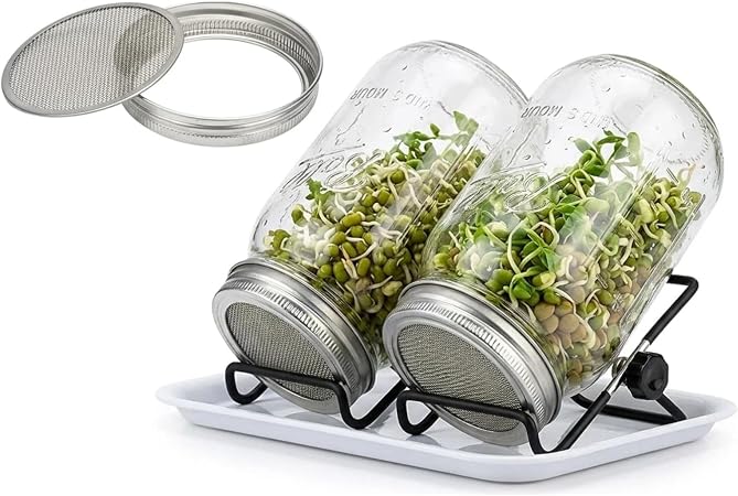 🌱 土を使わず水だけで。キッチンで新鮮スプラウトを育てよう 土や特別な設備は不要。水だけで手軽にスプラウトが育てられる家庭用栽培キットです。キッチンカウンターや窓辺、ダイニングテーブルなどの小さなスペースにも置きやすく、家庭菜園デビューにもぴったり。ブロッコリースプラウト・アルファルファ・緑豆・レンズ豆・豆苗など、さまざまな種類の発芽栽培にお使いいただけます。 🏺 斜め置きスタンドで水切りラクラク。余分な水分をしっかり排出 専用スタンドに瓶を斜めにセットすれば、すすぎ後の余分な水分が自然に排出されやすくなります。瓶内に水が残りにくいため、スプラウト栽培に欠かせない水切りと通気をしっかりサポート。排水は下のドリップトレイに落ちるので、キッチン台や棚を濡らさず清潔に保てます。 🧢 細かいメッシュ蓋で種が流れ出ない。すすぎも排水もスムーズ メッシュ蓋は細かい網目構造で、種が流れ出にくく、すすぎや水切りをスムーズに行えます。蓋を付けたまま水を入れて軽く振り、そのまま排水するだけなので毎日のお手入れが簡単。ステンレス製のメッシュ蓋は丈夫で錆びにくく、繰り返し使える経済的な設計です。 👀 透明ガラス瓶で成長を観察。洗いやすく清潔をキープ 透明なガラス瓶だから、種の発芽やスプラウトの成長具合をひと目で確認できます。清潔感のあるシンプルなデザインはキッチンに自然に馴染み、インテリアとしてもおしゃれです。ガラス瓶とステンレスパーツは水洗いが簡単で、使用後のお手入れもラクラク。毎日の料理のトッピングやサラダ、サンドイッチ、和え物などに、新鮮なスプラウトを手軽にプラスできる頼もしいアイテムです。