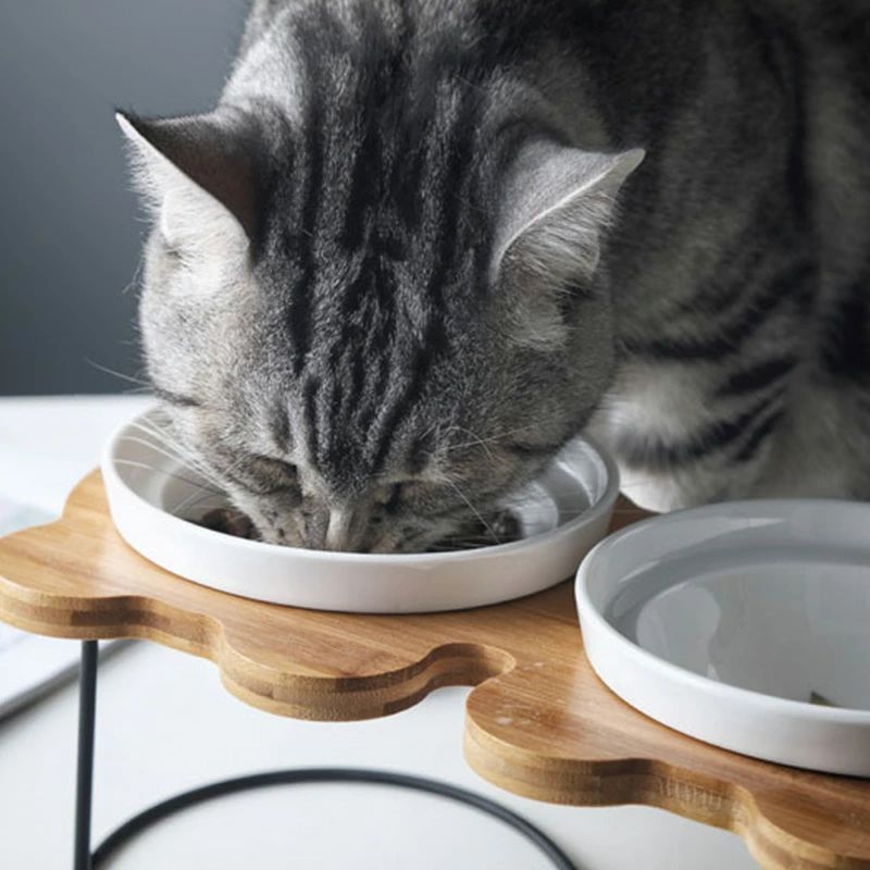 えさ皿 猫 犬 食器 餌入れ フードボウル スタンド付き シングルタイプ 餌皿 エサ皿...