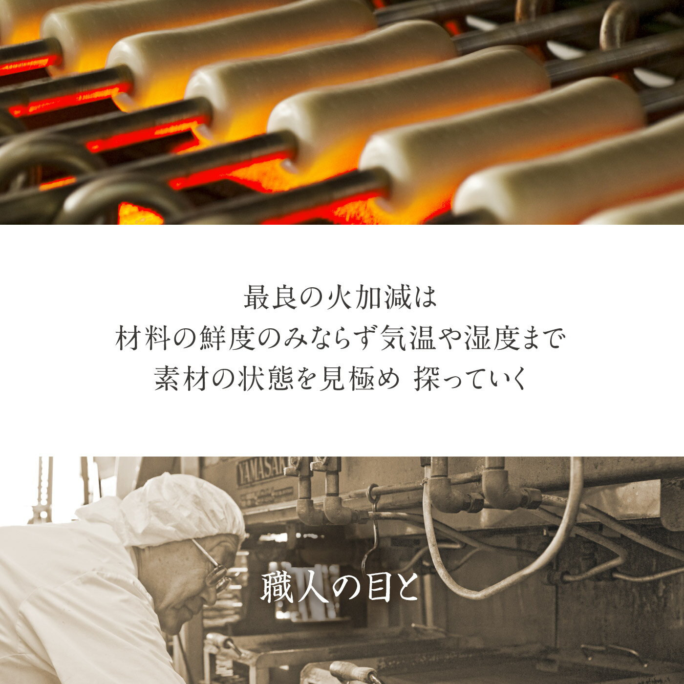 下関からお取り寄せ♪【農林水産大臣賞受賞！白波竹輪8本セット】かまぼこ、ちくわ、てんぷら［お歳暮、お中元、ギフト、慶事、弔事、贈答、日本酒、ビール、特産品、プチ贅沢］