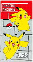 |P r[`^I oX^I Pokemon Beach Towel @140cm x 70cm