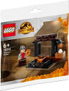 レゴ LEGO 30390 JURASSIC WORLD DOMINION Dinosaur Market ジュラシック ワールド 恐竜市場 袋入り