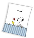 Xk[s[@PEANUTS t[X uPbg ѕz Ђ| 130cm x 170cm