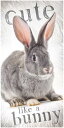 うさぎ ウサギ 兎 バニー Bunny ラビット バスタオル ビーチタオル 140cm x 70cm 綿100%