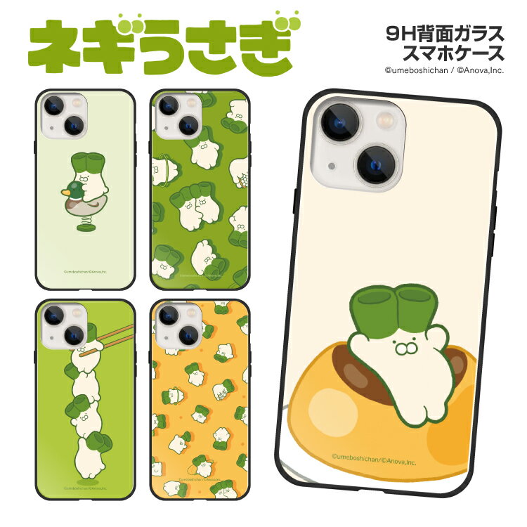 iPhone15 ケース iPhone15Pro iPhone14 iPhone14 Pro iPhone14 Plus iPhoneSE 第3世代 iPhone13 iPhone13Pro iPhone12 iPhone12Pro iPhone11 Pro ガラスケース 背面ガラス 背面 ガラス 強化ガ…