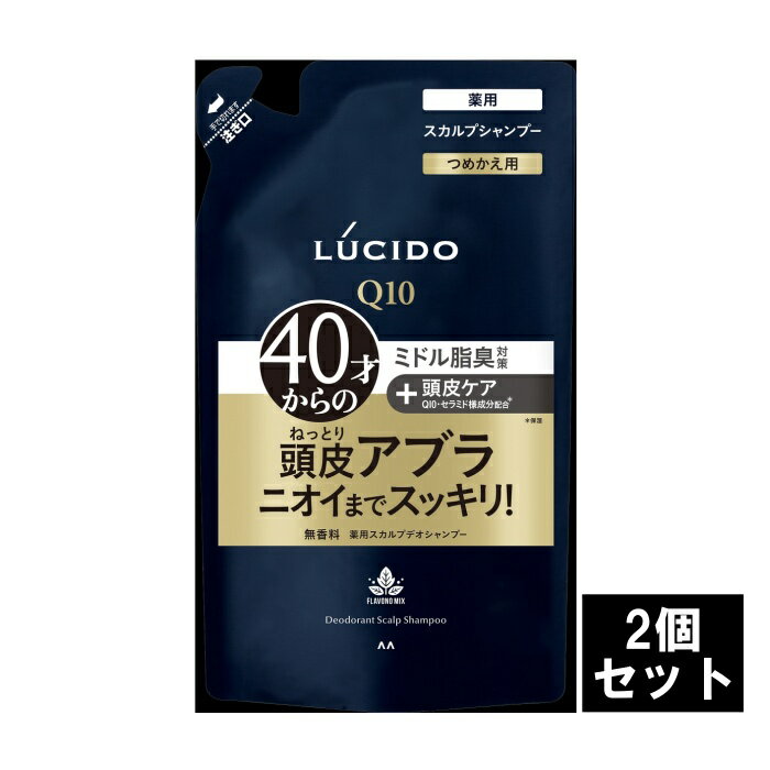 ＜マンダム＞LUCIDO(ルシード) 薬用スカルプデオシャンプー 詰め替え 380mL【2個セット】