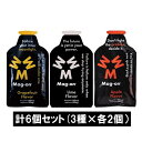 Mag-on マグオン エナジージェル (グレープフルーツ×2・ウメ×2・アップル×2)【6個セット】