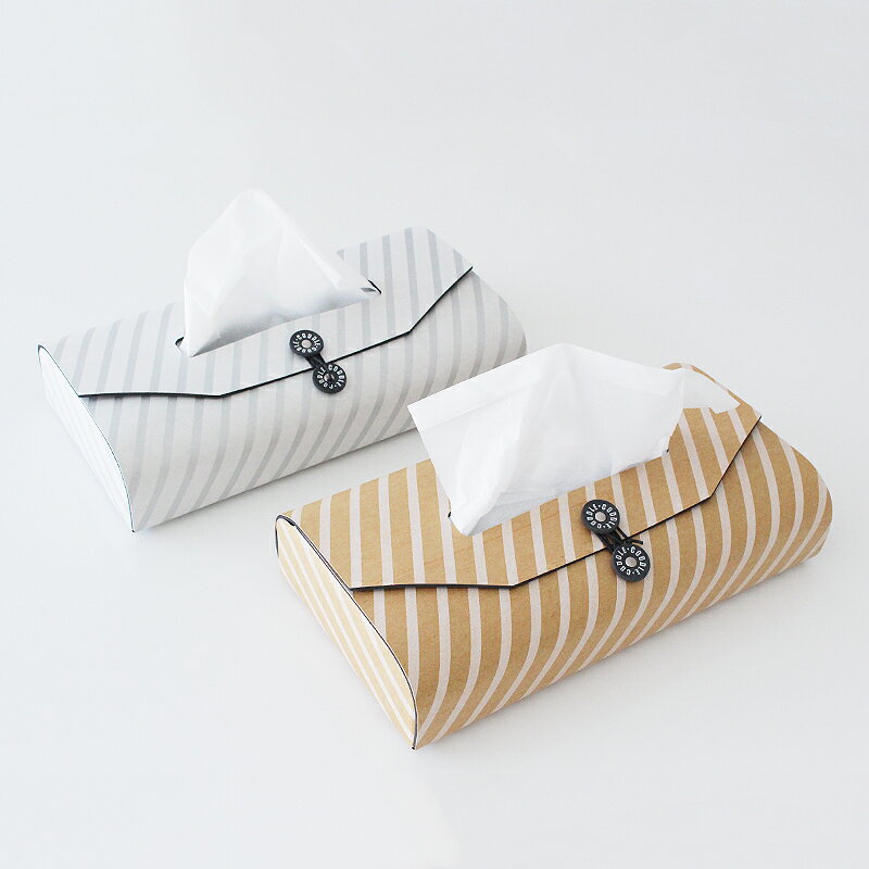 ƥåBOXС CODDLEۡ Paper BOXƥåѥɥ EVA ƥåBOXС