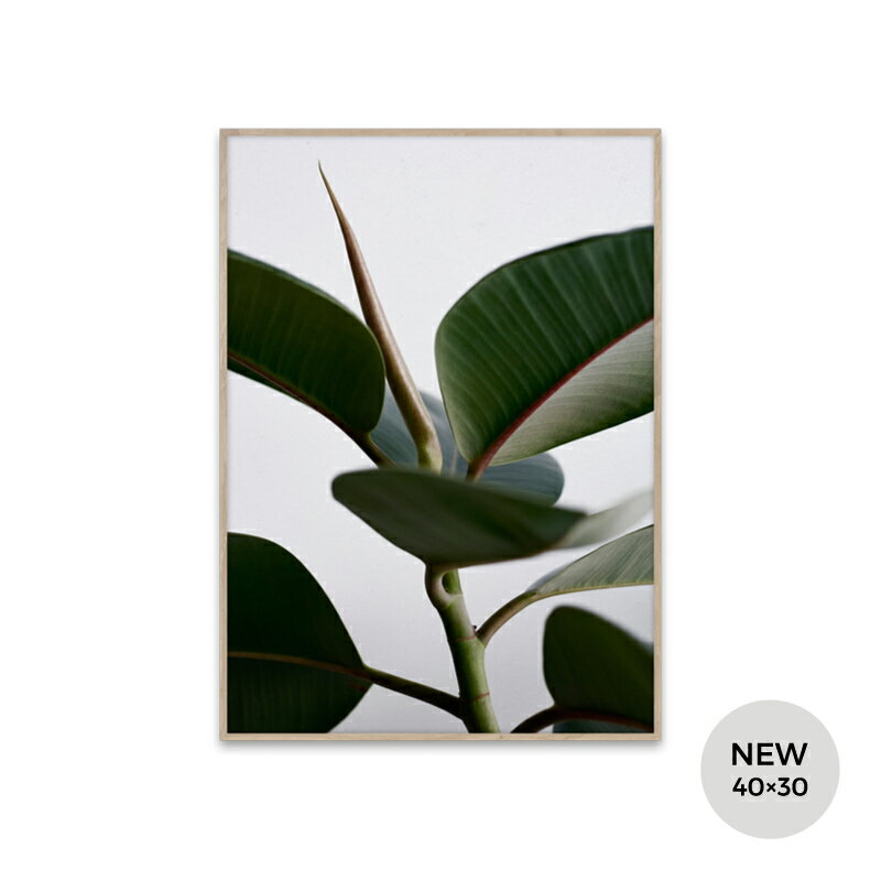 ڥݥGREEN HOME 02 ݥ 40cm30cm / PAPER COLLECTIVE