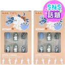 ムーミン ネイルチップ 24枚入【2個セット】サンタン ネイルチップ24個・接着用シール1枚・ミニファイル1個付き