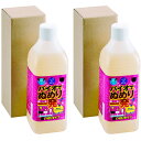 バイオのちから バイオでぬめり一発! 排水管用 使い切りタイプ 1L【2個セット】ビッグバイオ 日本製(3)