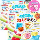 ギンポー お米のねんど はじめてのねんどあそび【2セット】ねんどシート、あそびかたブック付き 銀鳥産業