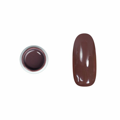 【送料無料】paragel パラジェル カラージェル M004 チョコレート ナチュラルライン 4g ソフトジェルタイプ