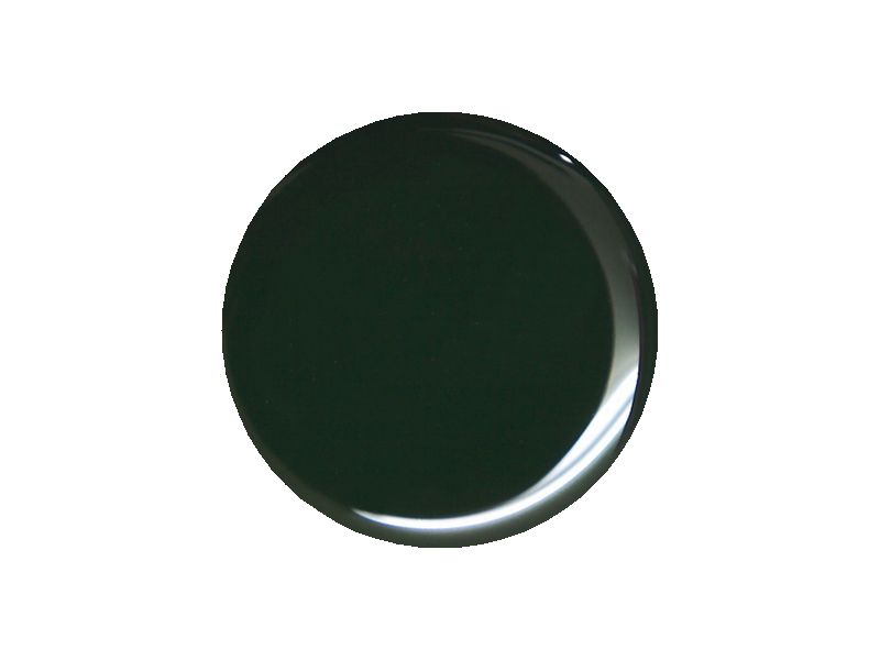 プリジェル カラーEX 緑 カラージェル UV/LED対応 4g PG-CE-118