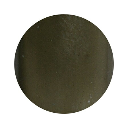 PREGEL プリジェル ミューズ クリアブラック PGM－S132 カラージェル/ソフトジェル 3g LED/UV/CCFL プリアンファ