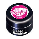 プリジェル PREGEL カラーEX フラッシュベリー PG-CE905 シャイニーグロスシリーズ カラージェル UV/LED対応 3g