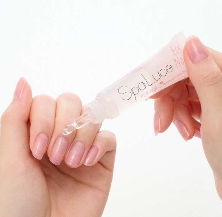 ������̵����SpaLuce �����Ʊ� ���֥�ץ饹��3���åȡۥѥå��ƥ��ȺѤ� �������ޤ�μ���������ʥ��꡼�� ���ѥ롼����