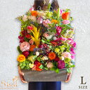 5月12日~順次発送 母の日 花 ギフト パラレルアレンジメント Lサイズ フラワー フラワーアレンジ お花 アレンジ アレンジメント お祝い プレゼント 誕生...