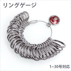 https://thumbnail.image.rakuten.co.jp/@0_mall/sistina/cabinet/ring/img58203388.jpg