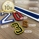 ワッペン 背番号ワッペン 数字 5サイズ 特大 大きい ミニ 小 背番号 アイロン 刺繍 番号 ナンバー 野球 ユニフォーム アイロン接着 名前 文字 ネーム お名前 名札 イニシャル アップリケ