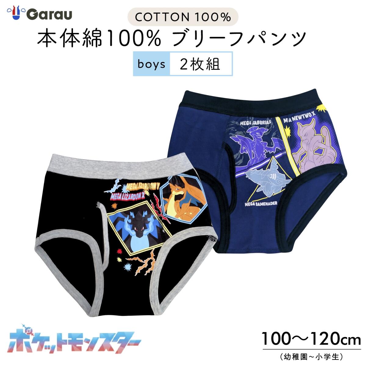 ＼期間限定クーポンあり！／【男の子】ポケットモンスター 綿100％ ブリーフ 2枚組 100〜120cm｜100cm,110cm,120cm キッズサイズ対応 秋冬 ポケモン柄（ガブリアス・ミュウツー／メガリザードンX・Y） 通園 通学 ガロー