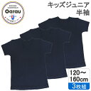 【吸水速乾】【綿100%】キッズジュニア 半袖インナー 3枚組 黒/無地 120〜160cm 男の子 男児 シャツ 120 130 140 150 160