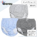 【女の子】キッズジュニアショーツ 3枚組 ボーダー柄 130〜165cm【綿100%】 女の子 女児 パンツ 130 140 150 160 165