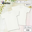 【男女兼用】半袖インナー 2枚組 無地 100~160cm【綿100%】【オーガニックコットン】 男の子 男児 メンズ 女の子 女児 レディース 肌に優しい はだふれ 100 110 120 130 140 150 160