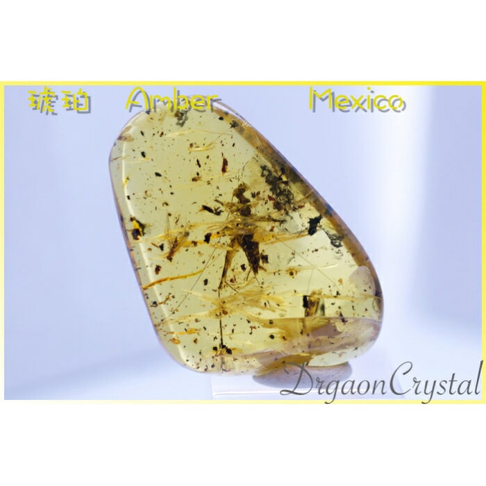 超レア！！天然未処理の虫入り琥珀『大きなバッタ・蚊・ブヨ？』・メキシカングリーンアンバーのルース　11.45g【送料無料】のサムネイル