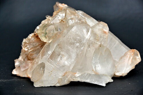 『集合体』　緑藻　イシス　タビュラー　ダブルターミ　ファントム　レインボー 348g【送料無料】