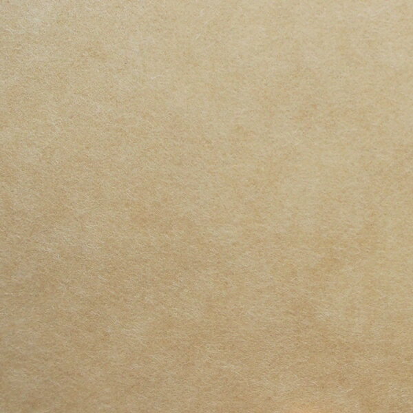 【亜麻色】　No．2806　色無地和紙（襖紙/ふすま紙/壁紙張替/張り替え/ブラウン/茶色系）