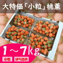 【訳あり大特価】小粒 いちご”桃薫”1kg~7kg 送料無料 ★生産農家直送・新鮮完熟★ ◆ココナッツやカラメルを思わせる濃厚な香り◆まるで桃のようなとろける食...
