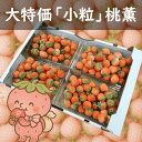 【訳あり特価】小粒 高級いちご”桃薫”3kg 送料無料 ★生産農家直送・新鮮完熟★ ◆ココナッツやカラメルを思わせる濃厚な香り◆まるで桃のようなとろける食感◆ジ...
