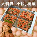 【訳あり特価】小粒 高級いちご”桃薫”5kg 送料無料 ★生産農家直送・新鮮完熟★ ◆ココナッツやカラメルを思わせる濃厚な香り◆まるで桃のようなとろける食感◆ジ...