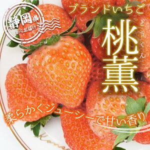 【静岡産ブランドいちご】【希少品種「桃薫」】 贈答用大粒 1パック(9-20粒 約300g) イチゴ 苺 桃 孫 子ども とうくん とおくん プレゼント ギフト 贈り物 誕生日 内祝 お祝い 内祝 お年賀 正月 成人式 バレンタイン 雛祭り 桃の節句 ホワイトデー