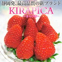 【送料無料】(9〜15粒入り、約400g)静岡産 新ブランドいちご 「きらぴ香」 贈答用大粒いちご　 イチゴ 苺 ギフト スイーツ 果物 プレゼント 贈り物 お礼品 御礼品 誕生日 祝い事 内祝 孫 子ども 自宅用 ご褒美/ ゴールデンウィーク こどもの日 母の日