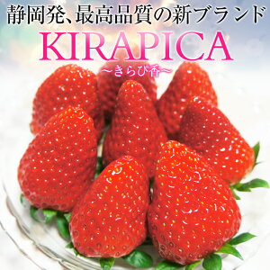 【送料無料】(9〜15粒入り、約400g)静岡産 新ブランドいちご 「きらぴ香」 贈答用大粒いちご　 イチゴ 苺 ギフト スイーツ 果物 プレゼント 贈り物 お礼品 御礼品 誕生日 祝い事 内祝 孫 子ども 自宅用 / 実家 帰省 入学祝い 進学祝い 就職祝い 新生活 送別品　母の日