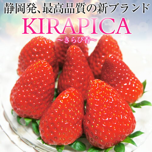 【送料無料】2パック(18〜30粒入り、約800g )静岡産　ブランドいちご ...